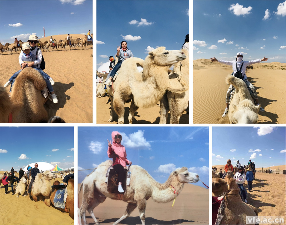 騎著駱駝走沙漠，不要太穿越