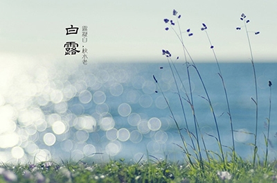 白露降，秋意濃