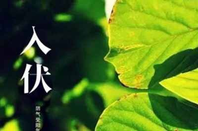 入伏在即，酷暑將至