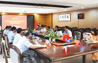 國(guó)網(wǎng)電力領(lǐng)導(dǎo)團(tuán)隊(duì)來訪銀河電氣